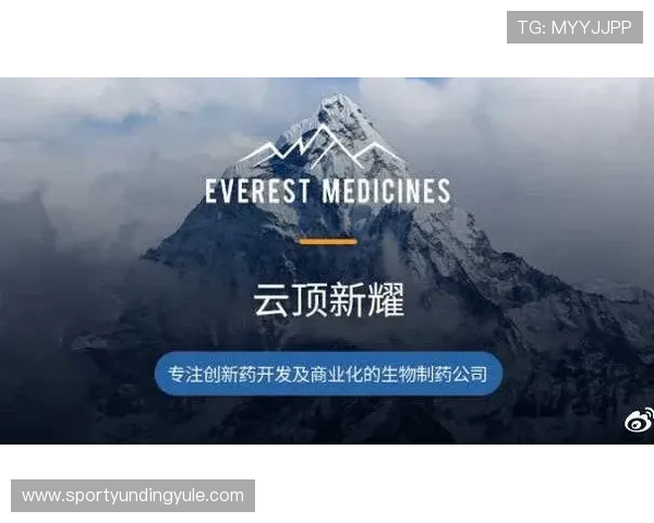 云顶公司名称大全：简洁大气、易记易传播的公司名字推荐合集